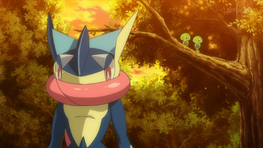 Greninja, Squishy and Z2 in XY140.png