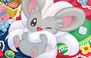 ShibuzohCinccino TCG