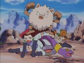 Primeape, the winning Pokémon