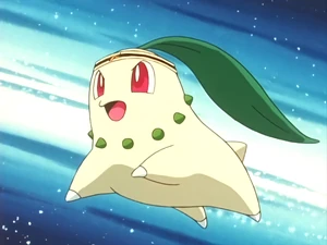 Casey's Chikorita.