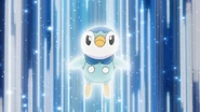 Bide being used by Dawn's Piplup.