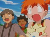 Misty, Brock and Shellby watch as Ash gets hurt