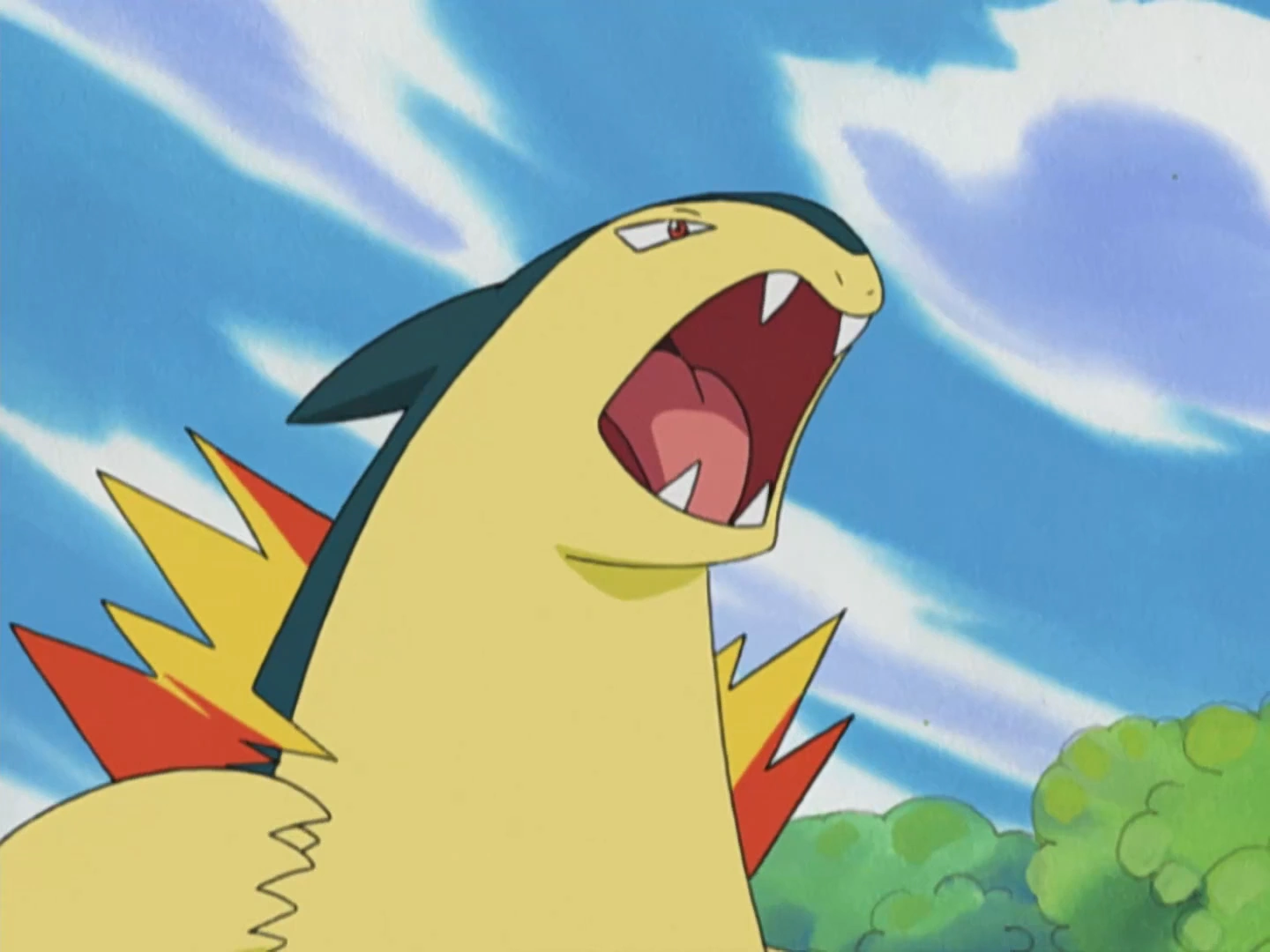Mr Moore S Typhlosion Pokemon Wiki Fandom
