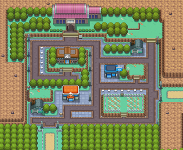 Pokémon FireRed and LeafGreen/Pewter City — StrategyWiki