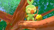 Pokemon Sword & Shield Grookey in Game 2