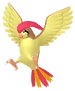 0017Pidgeotto Pokémon HOME