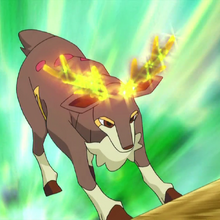 Horn Leech Pokemon Wiki Fandom