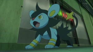 Clemont's Luxio.