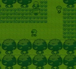 Pokemon Red and Blue Game Boy screenshot