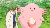 Toren Chansey.png