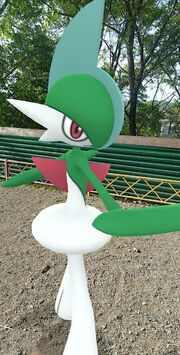 Gardestalker gallade