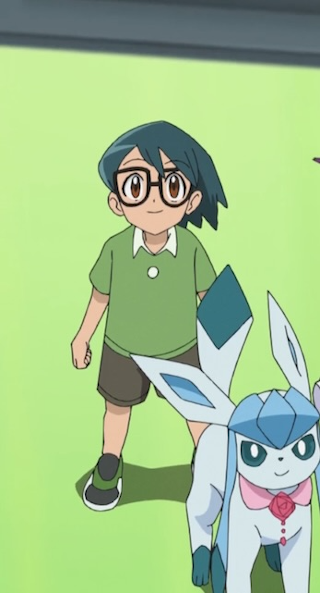 In the Pokémon anime, why hasn't Brock evolved any of his Pokémon