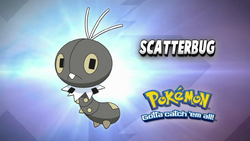 Pokémon : S17  E12- To Catch a Pokémon Smuggler!