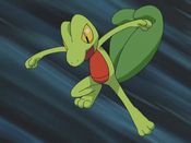 As Treecko