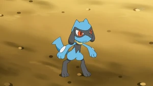 Cameron's Riolu.