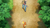 Red tries to battle a wild Pidgey, but it flies away