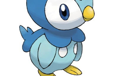 CEO of Sinnoh 🌟 on X: Piplup, this cute penguin has a higher attack stat  than Onix  / X