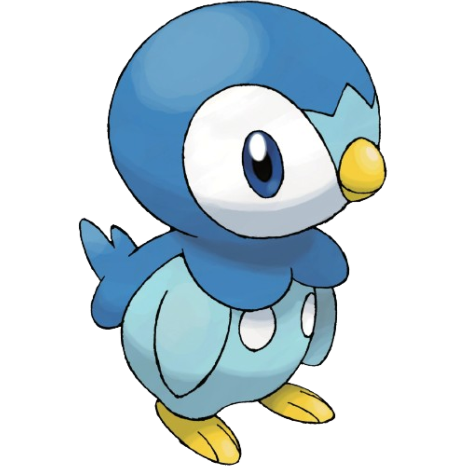Piplup é o Pokémon inicial mais fofinho, segundo os fãs japoneses -  NerdBunker