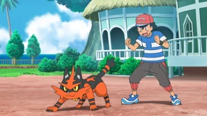 Torracat and Ash