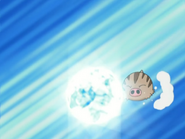 Ice Shard being used by Dawn's Swinub.