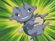 Bind being used by Harrison's Steelix.