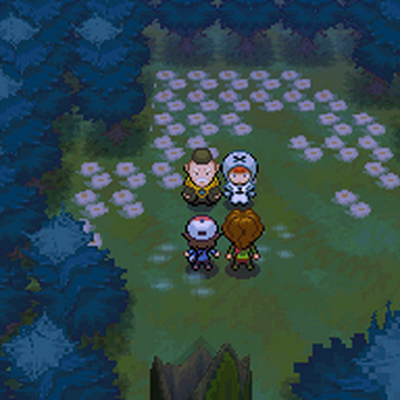Pinwheel Forest Pokemon Wiki Fandom
