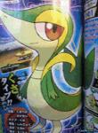 Snivy