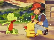 Treecko masters Bullet Seed on Pikachu and Ash