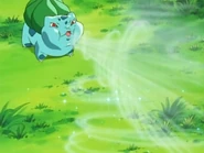 Whirlwind being used by Ash's Bulbasaur.