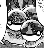 When the Crabominable that Hapu defeated earlier wanted to join her, Hapu showed her Pokémon, including Flygon, stored in her Poké Balls. She mentioned that raising her team was demanding enough.