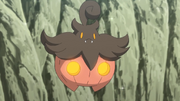 Jessie Pumpkaboo
