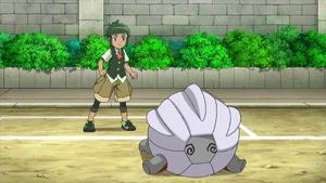 Sawyer's Shelgon.
