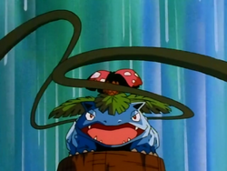 venusaur vine whip