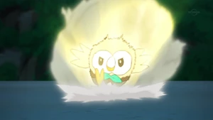 Ash's Rowlet using Breakneck Blitz.