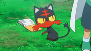 kukui litten