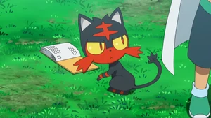 Professor Kukui's Litten.