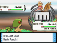 Mach Punch depicted in Generation IV