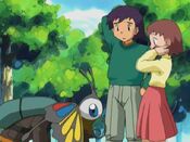 Beautifly scolds Brock for flirting