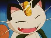 Meowth gets affection