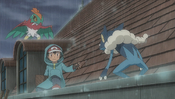 Ash, Hawlucha, and Frogadier on the roof