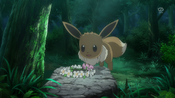 Eevee finds the flower crown Serena left behind