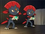 Kidd Weavile