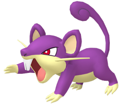 The Rattata have started to domesticate other Pokémon. The age of