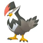 0398Staraptor Pokémon HOME