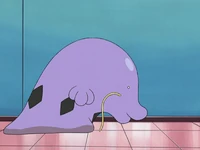 Anthony Swalot Swallow