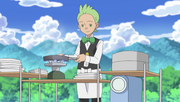 Cilan Cooking