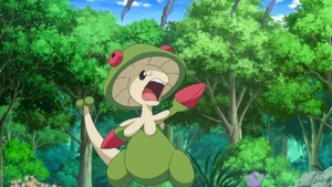 Breloom in the anime.