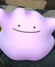 Catch a ditto