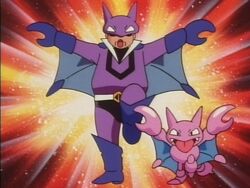 Pokémon: The Johto Journeys - Wikipedia