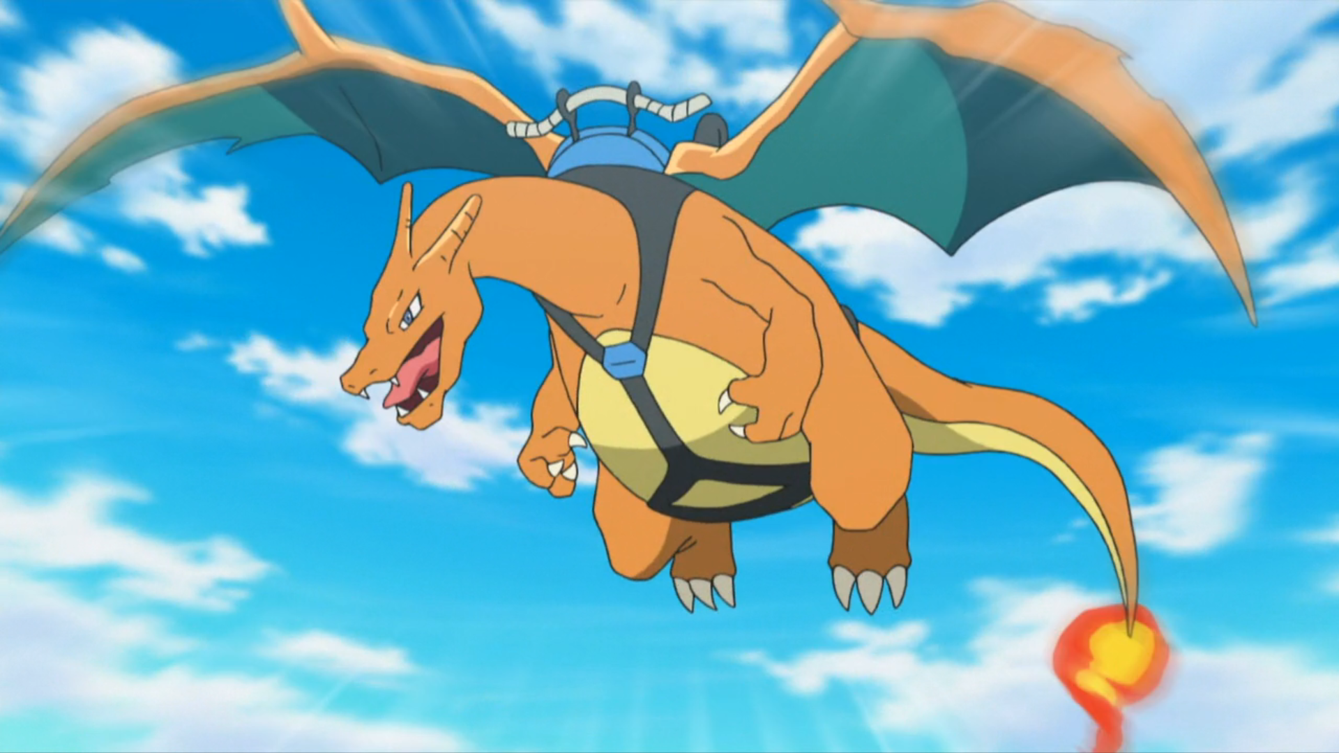 Download Funny Anime Pokemon Catching Charizard Wallpaper | Wallpapers.com